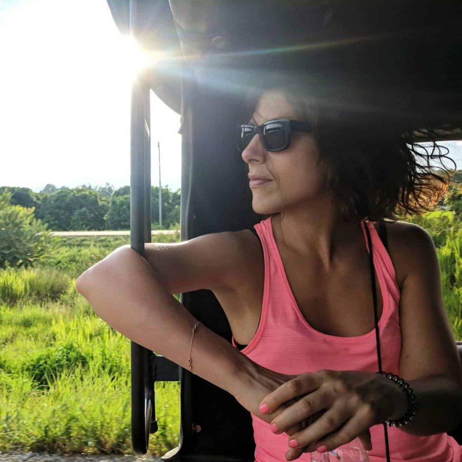 meet the sun and co. team silvia
